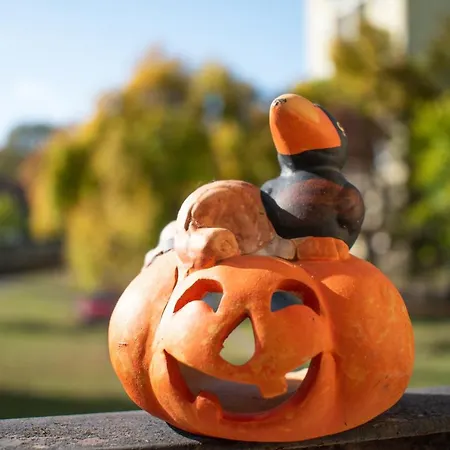 Fodormenta * Eger